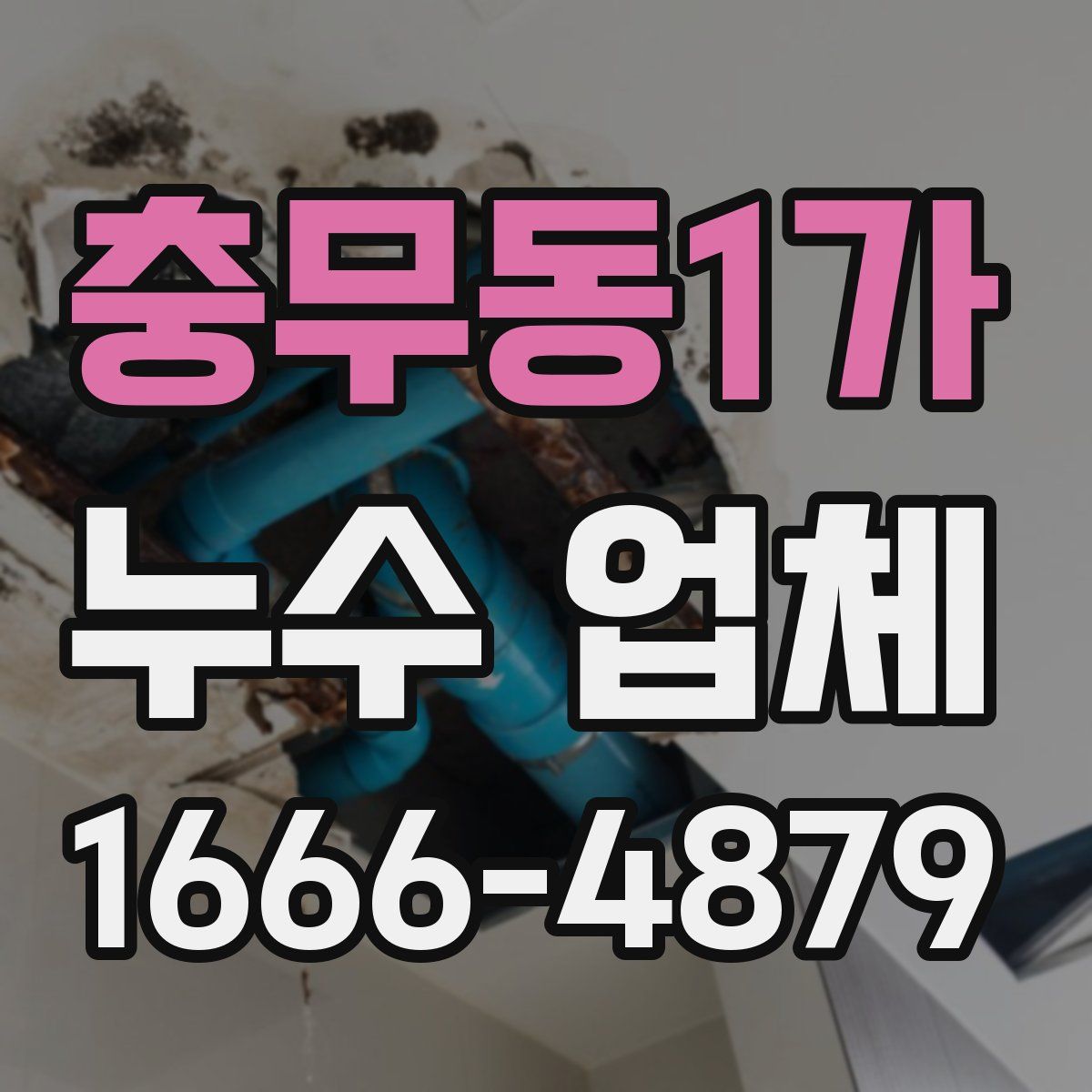 충무동1가 누수 업체