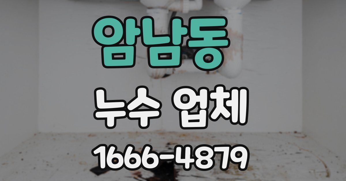 암남동 누수 업체
