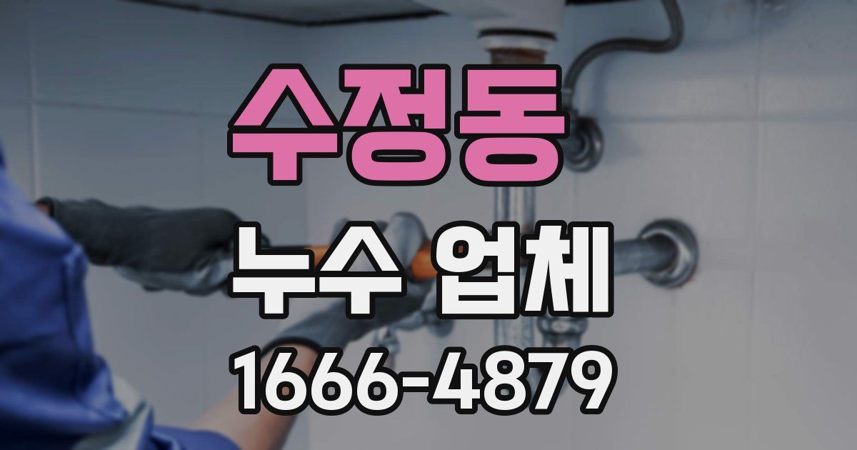 수정동 누수 업체
