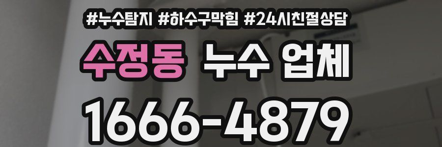 수정동 누수 업체