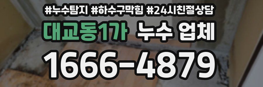 대교동1가 누수 업체