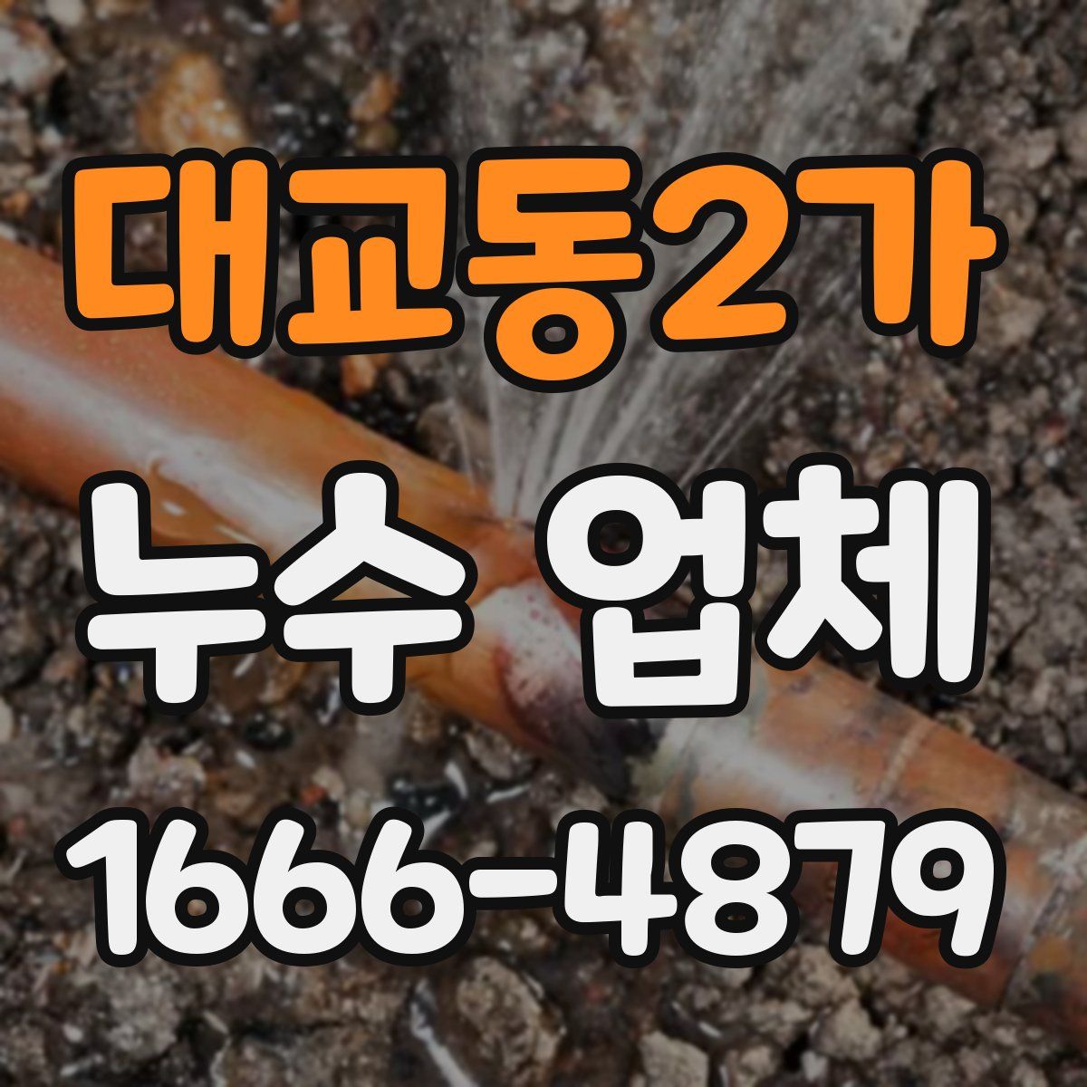 대교동2가 누수 업체