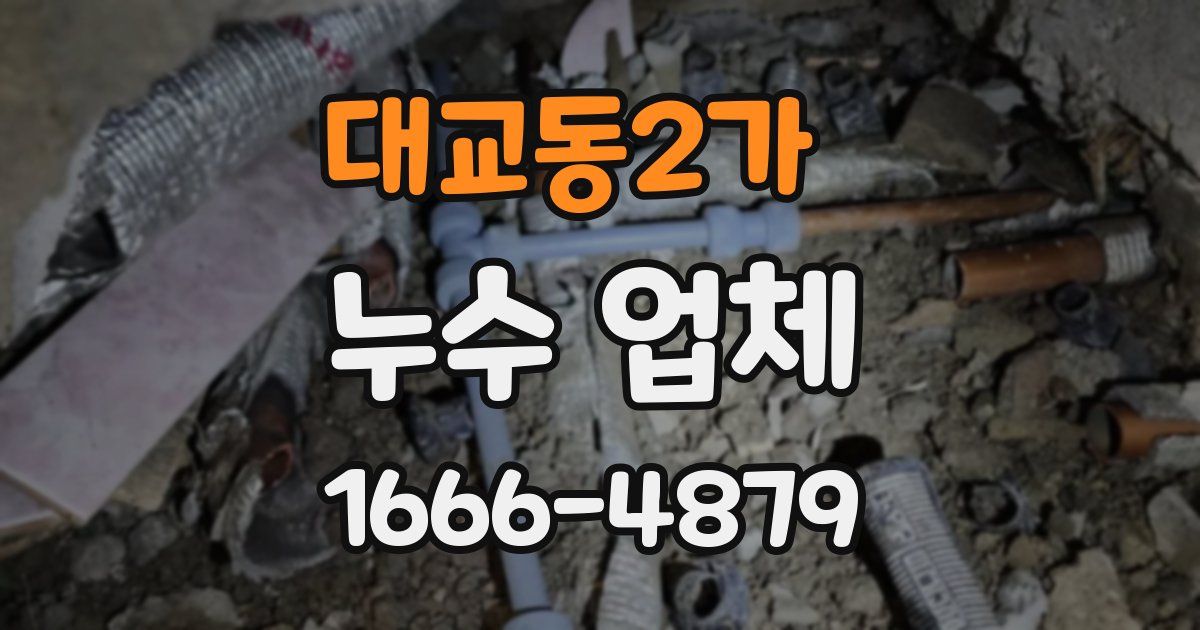 대교동2가 누수 업체