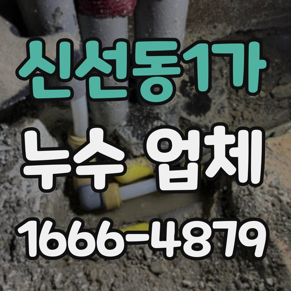 신선동1가 누수 업체