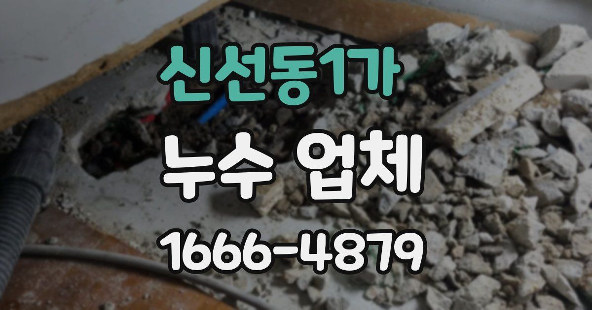신선동1가 누수 업체