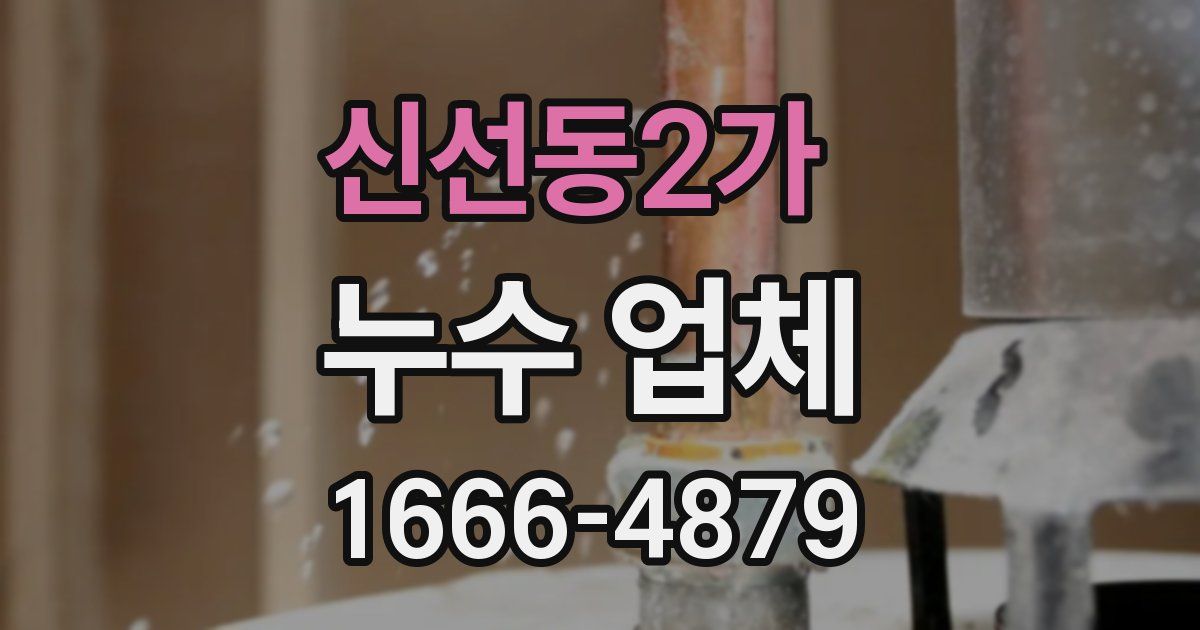 신선동2가 누수 업체