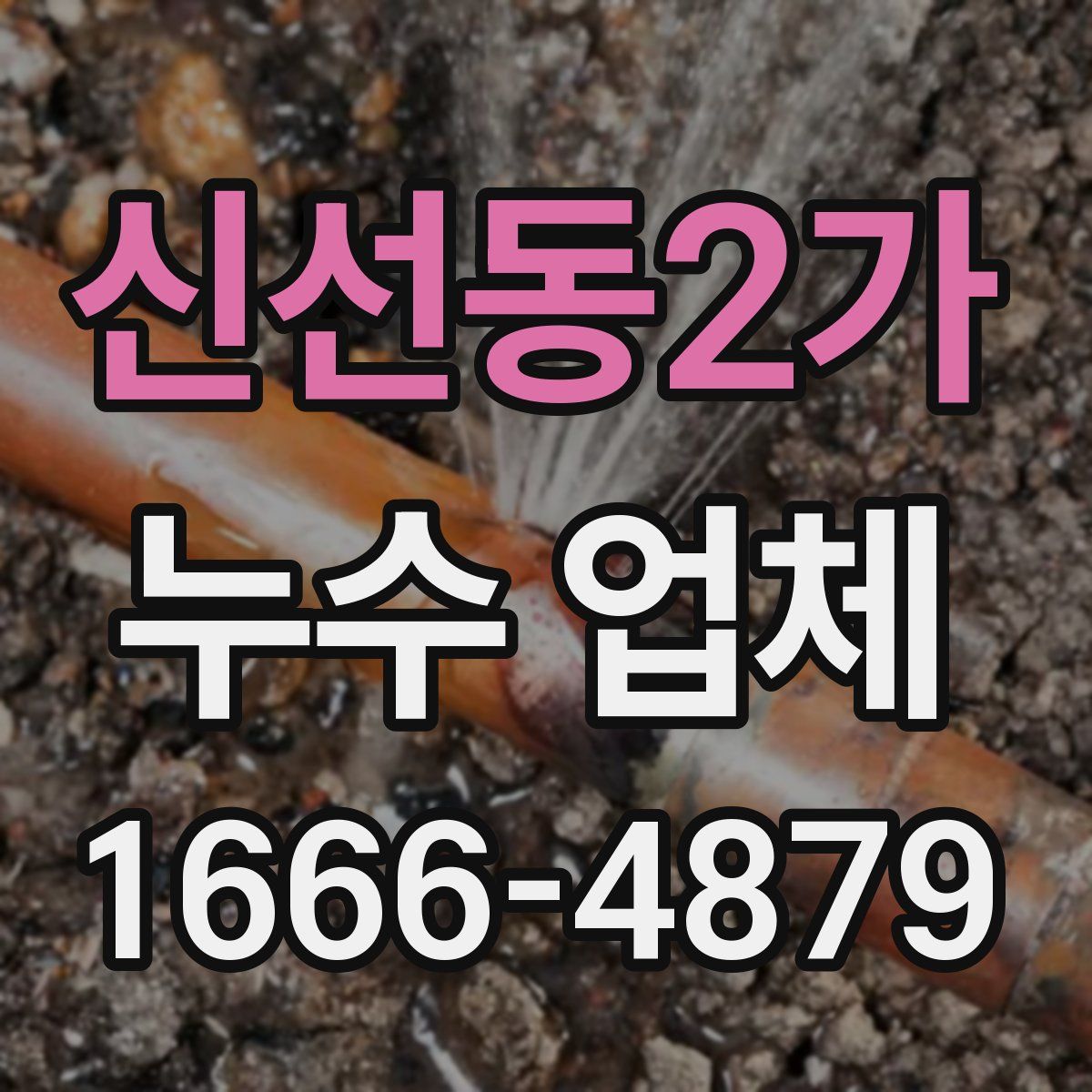 신선동2가 누수 업체