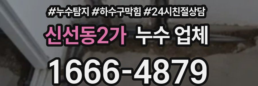 신선동2가 누수 업체