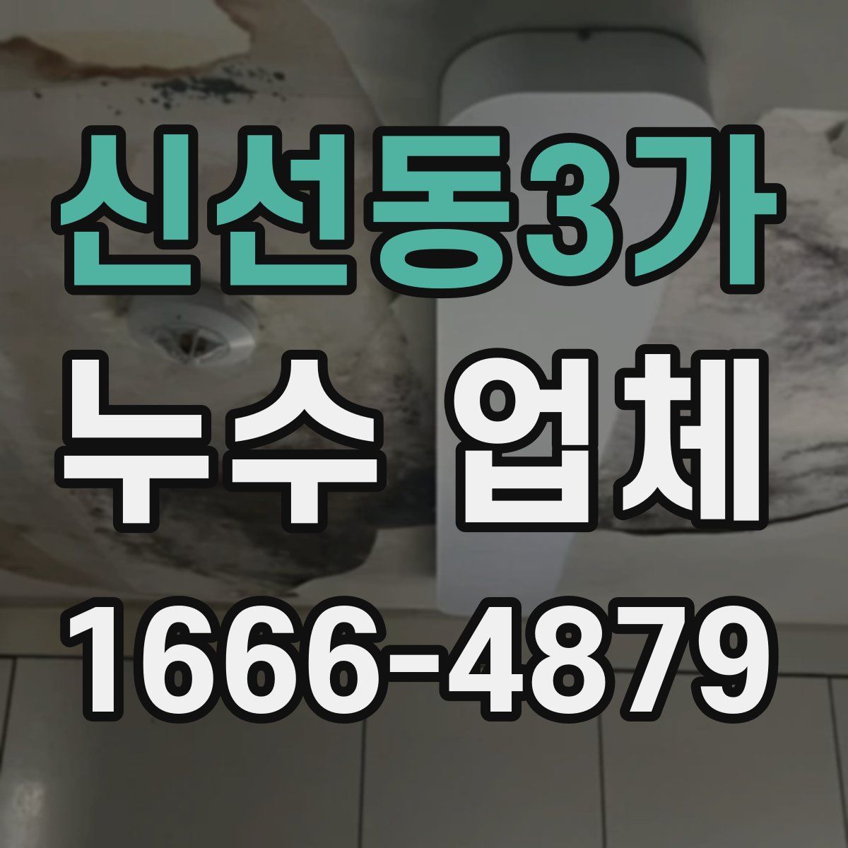 신선동3가 누수 업체