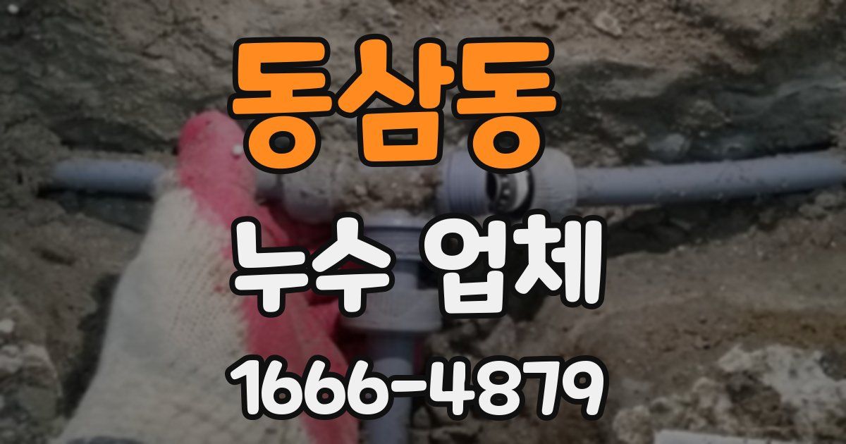 동삼동 누수 업체