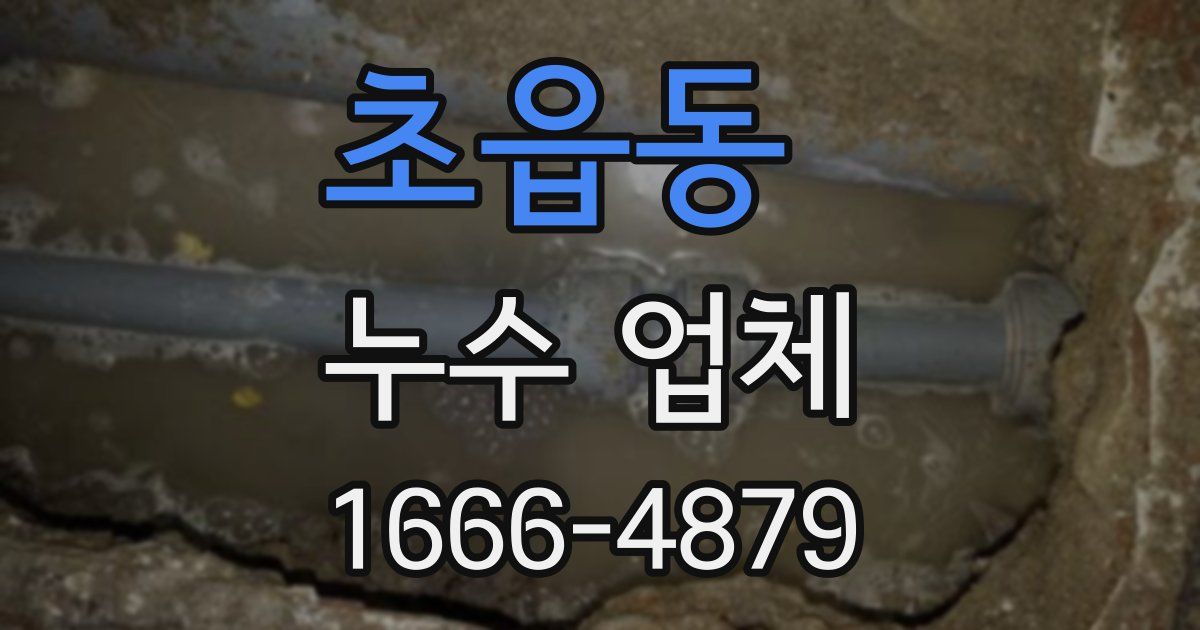 초읍동 누수 업체
