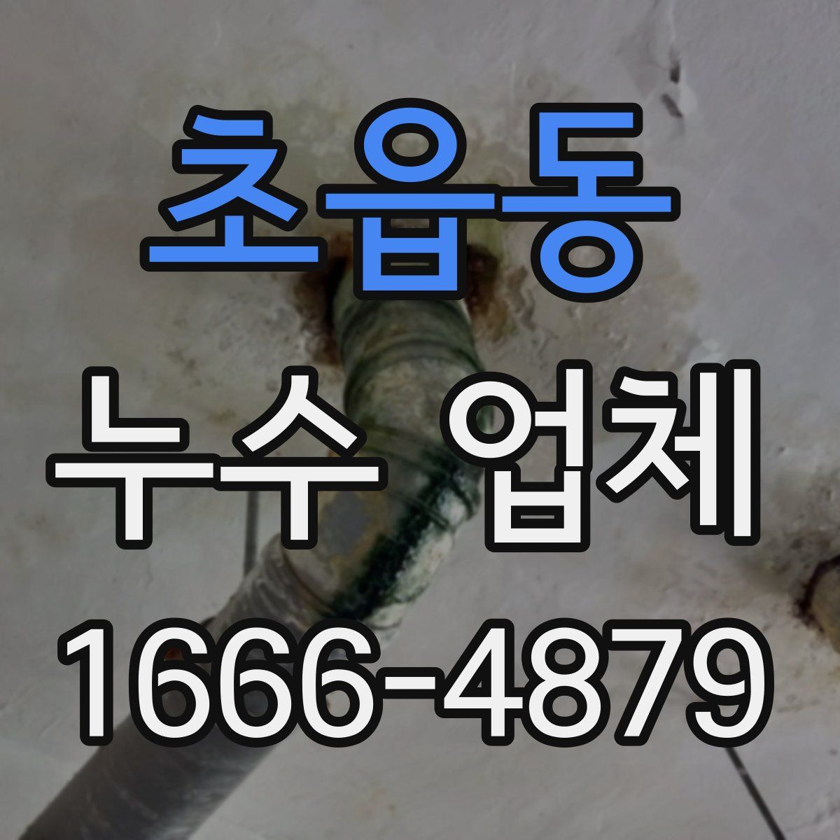 초읍동 누수 업체