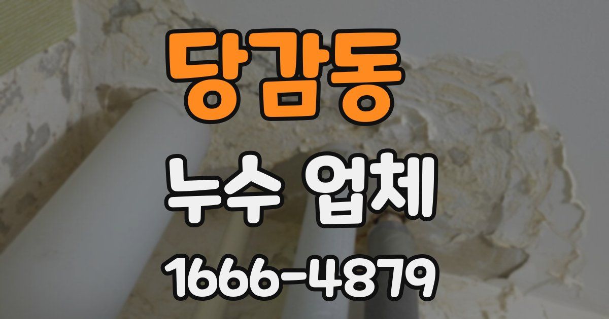 당감동 누수 업체