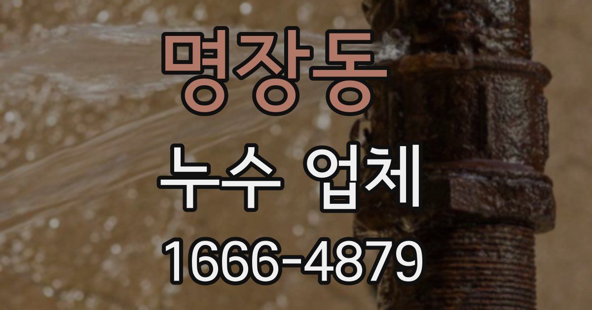 명장동 누수 업체