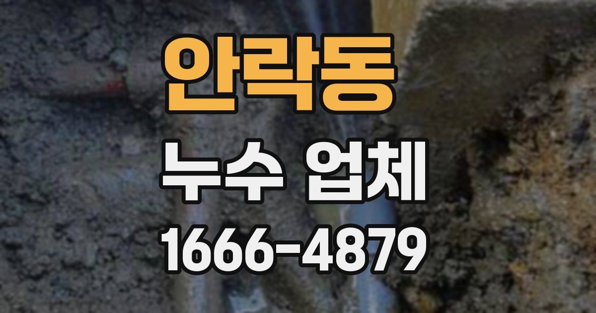 안락동 누수 업체