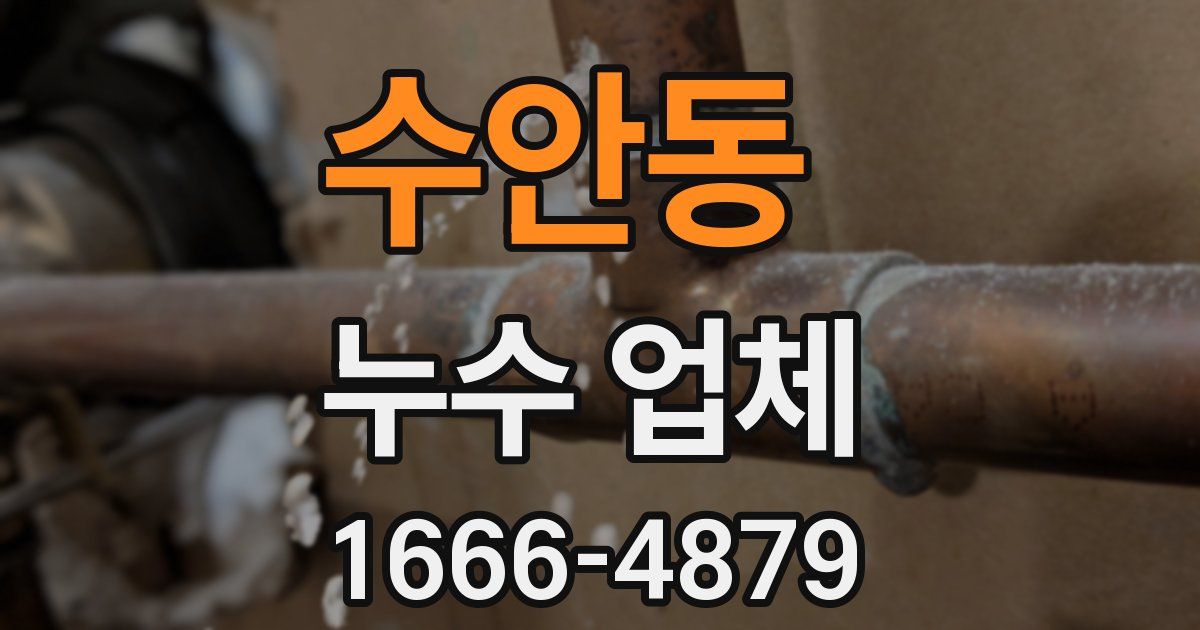 수안동 누수 업체