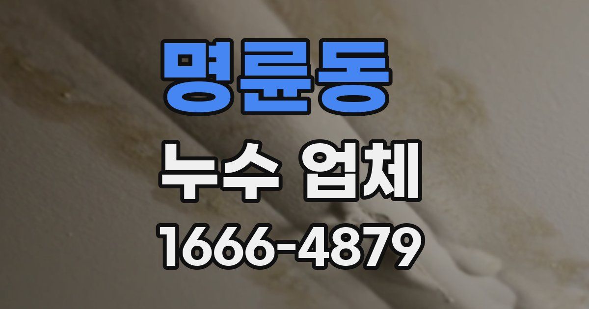 명륜동 누수 업체