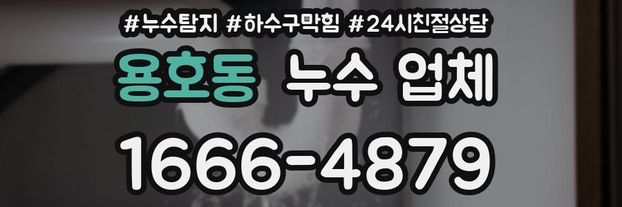 용호동 누수 업체