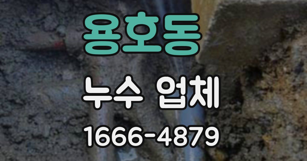 용호동 누수 업체