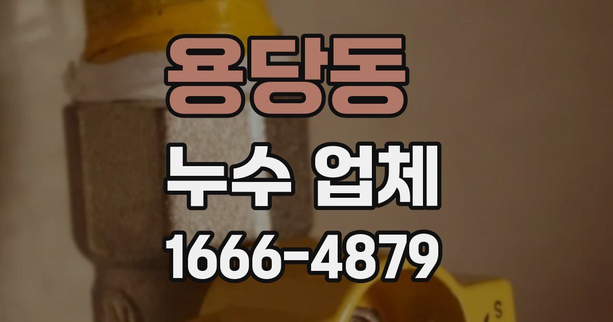 용당동 누수 업체