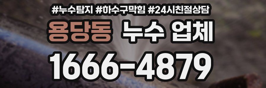 용당동 누수 업체