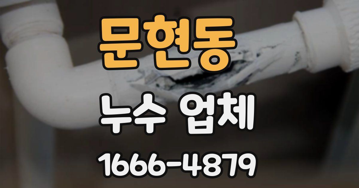 문현동 누수 업체