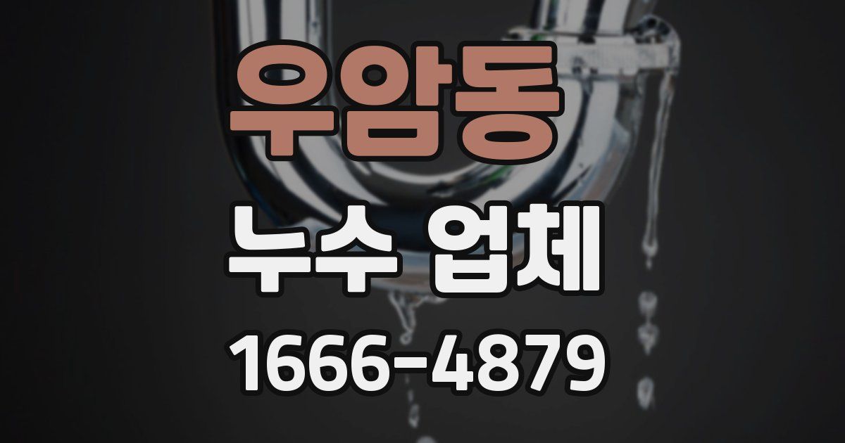 우암동 누수 업체