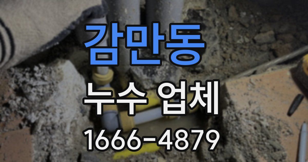 감만동 누수 업체