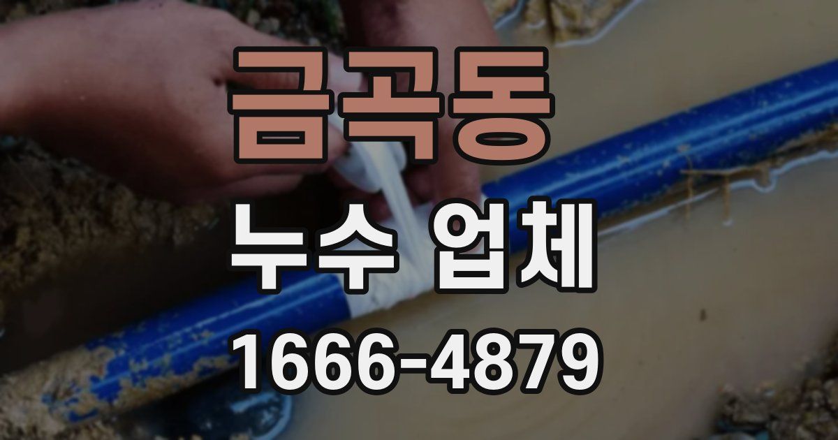 금곡동 누수 업체