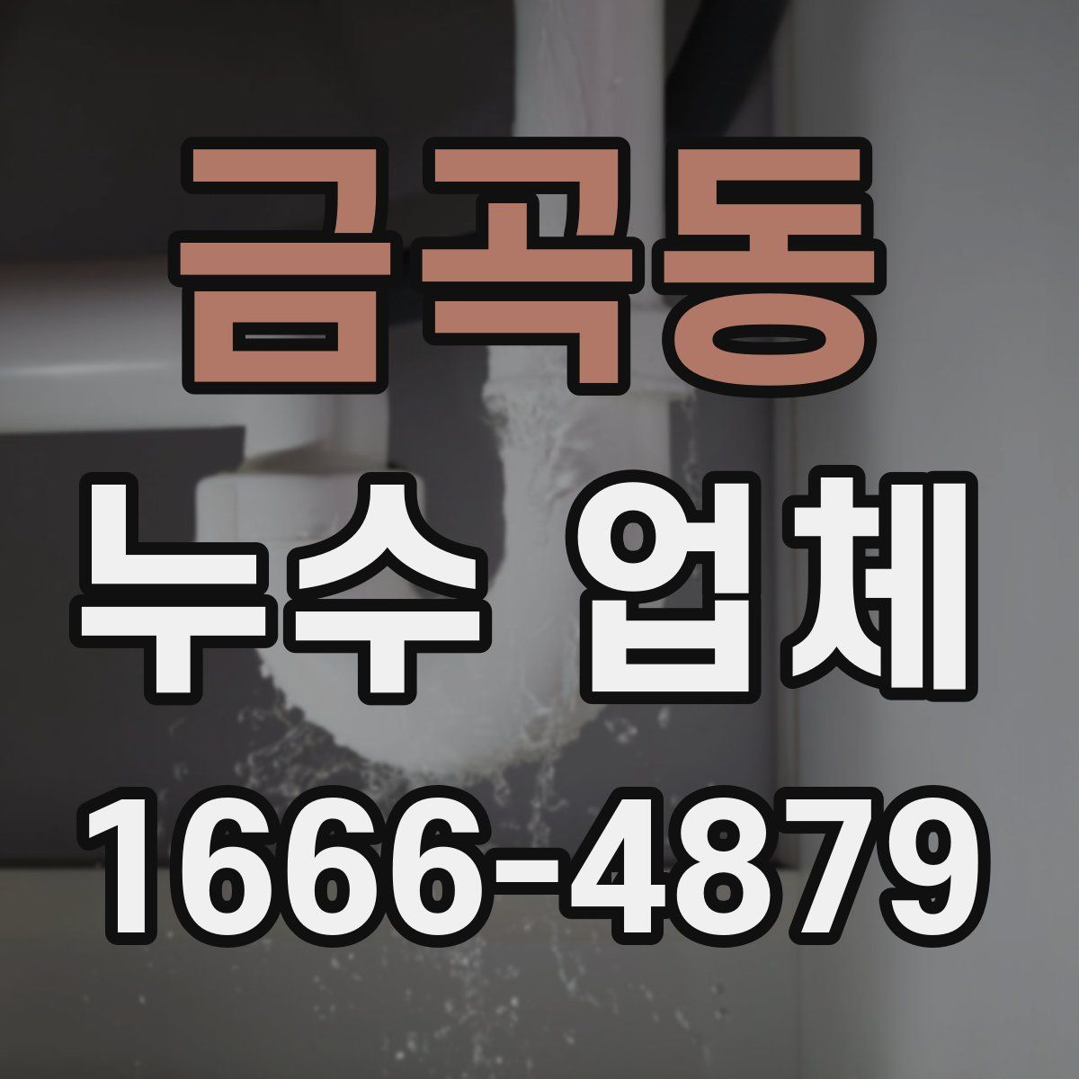 금곡동 누수 업체