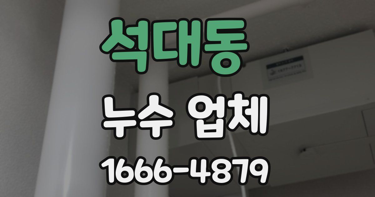 석대동 누수 업체