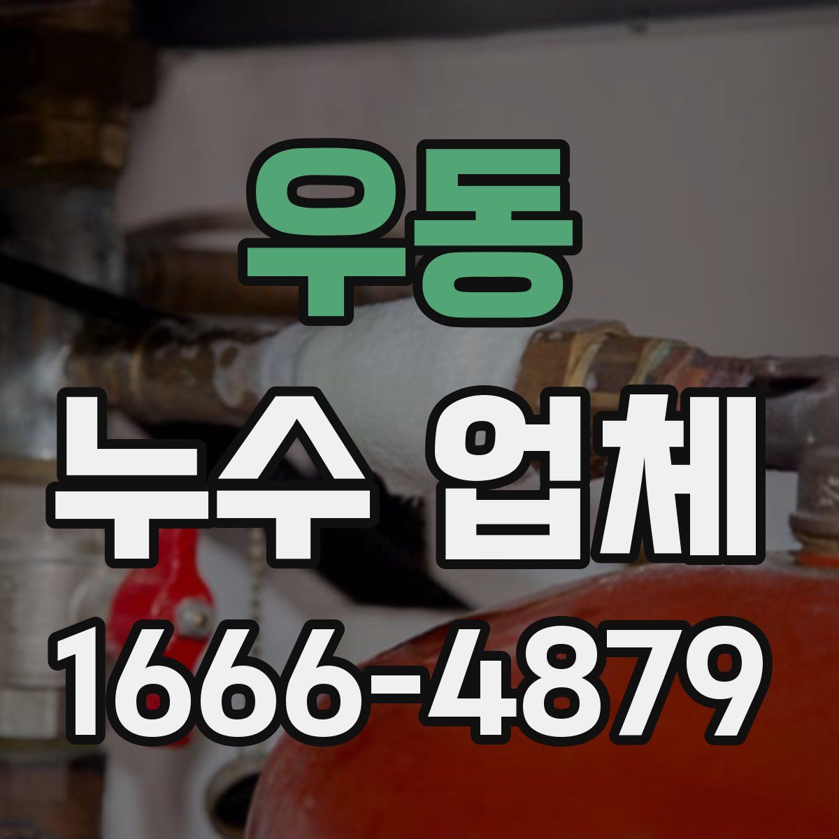 우동 누수 업체