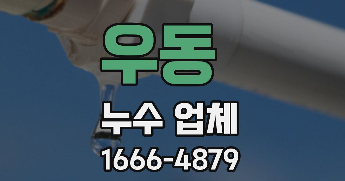 우동 누수 업체