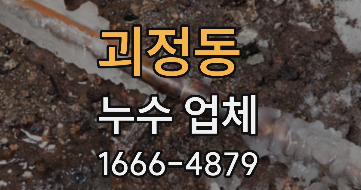 괴정동 누수 업체