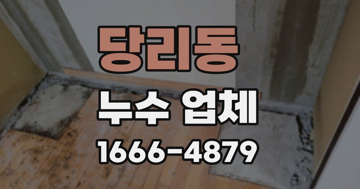 당리동 누수 업체