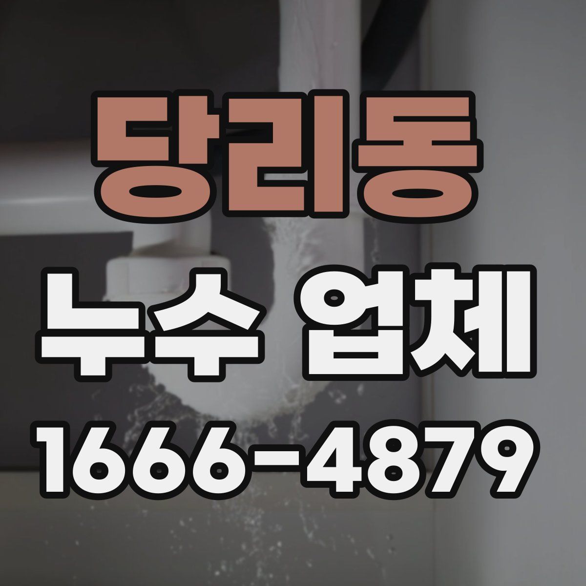 당리동 누수 업체