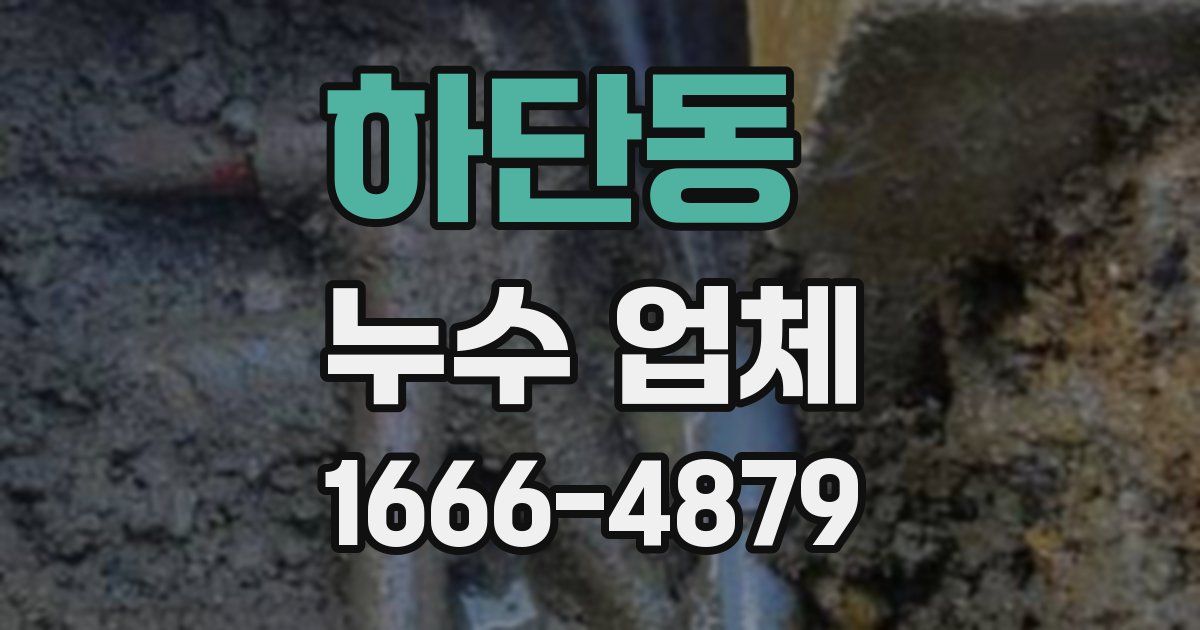 하단동 누수 업체