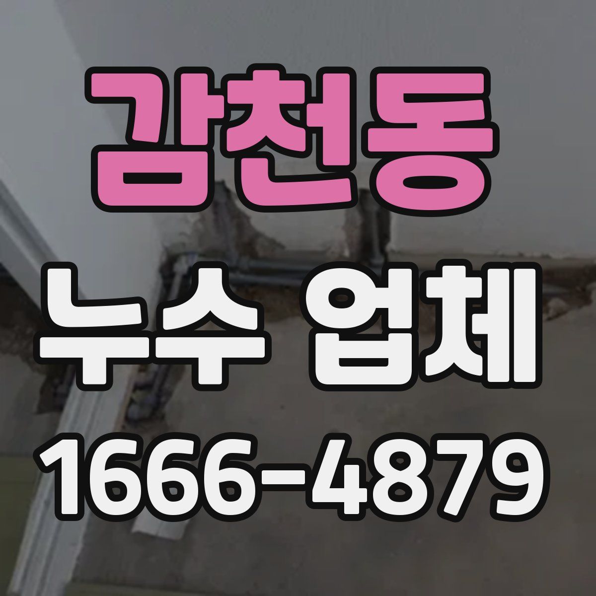 감천동 누수 업체