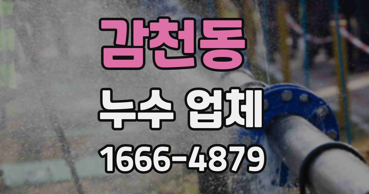감천동 누수 업체