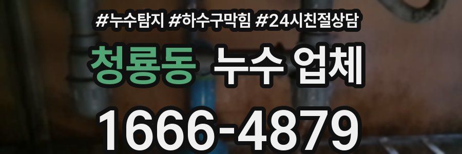 청룡동 누수 업체
