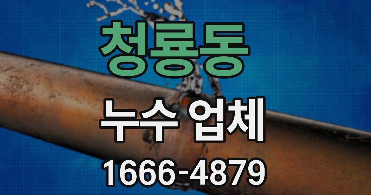 청룡동 누수 업체