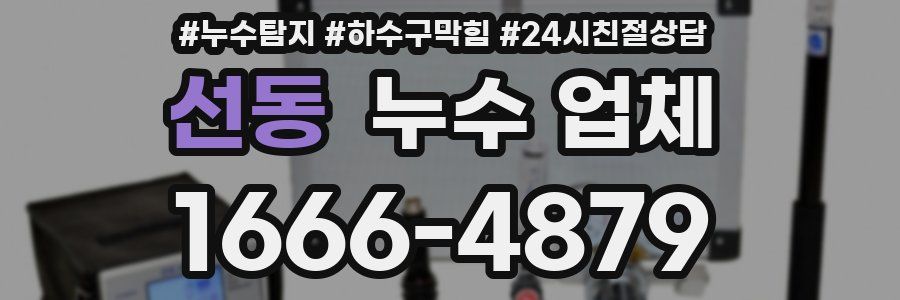 선동 누수 업체