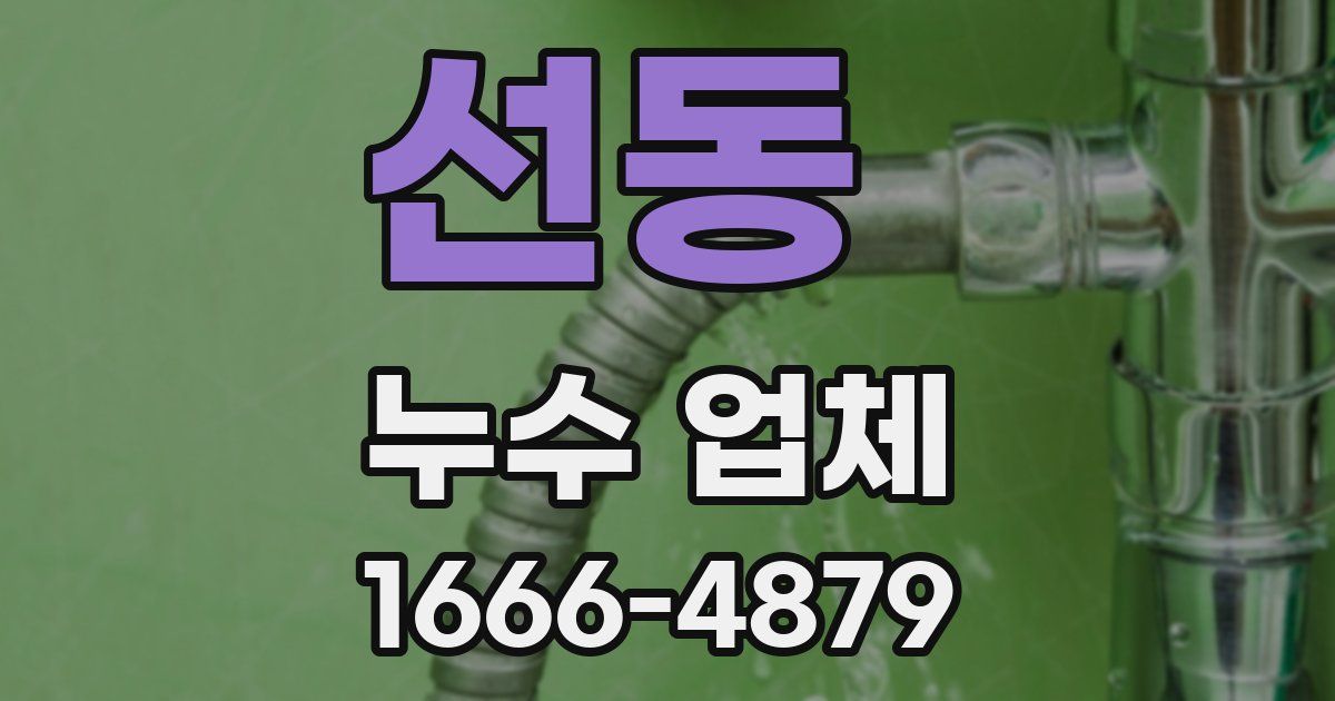선동 누수 업체