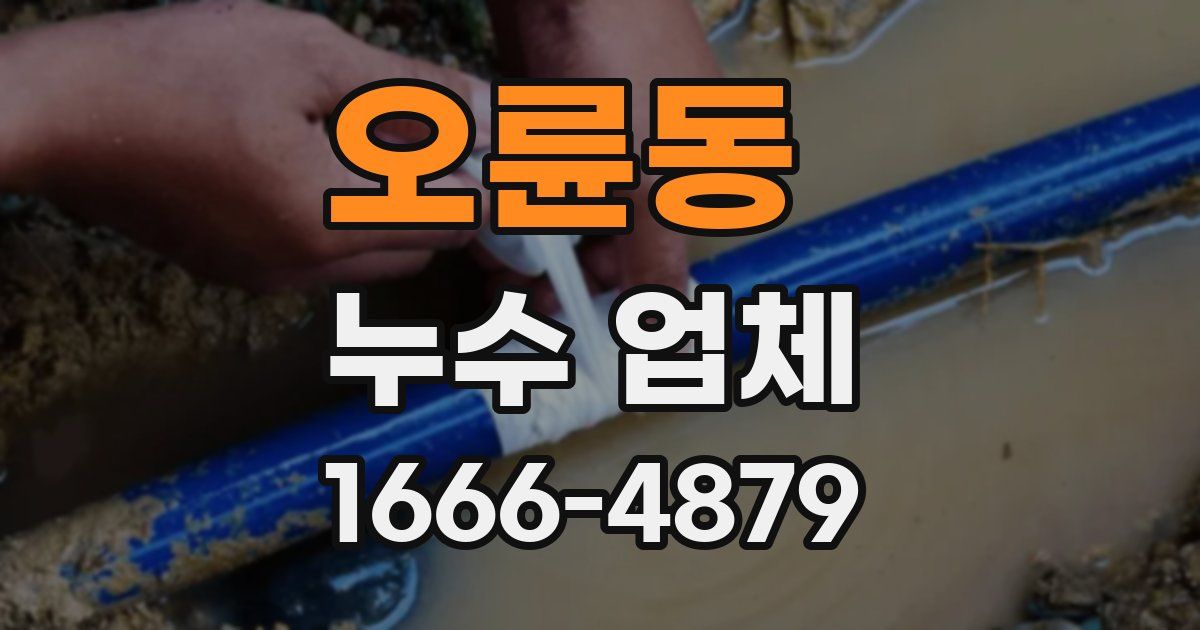 오륜동 누수 업체