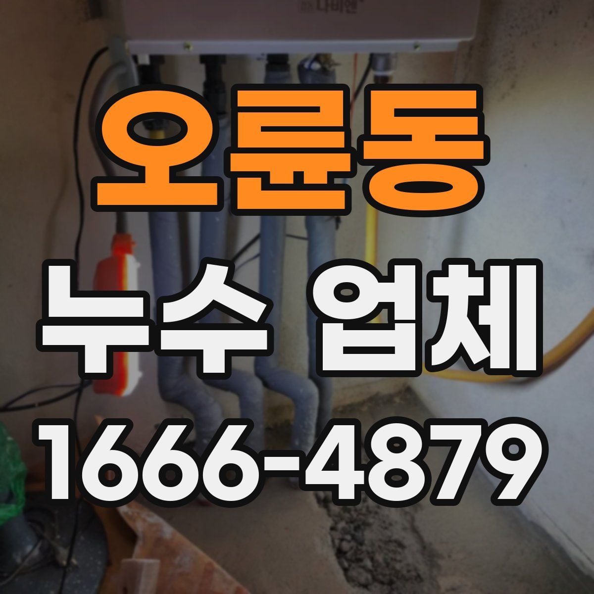 오륜동 누수 업체