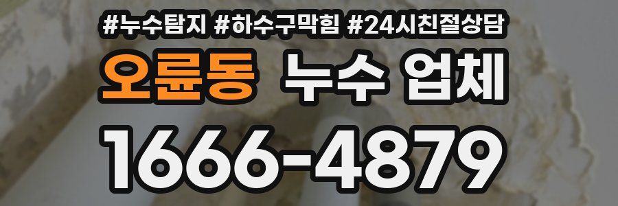 오륜동 누수 업체