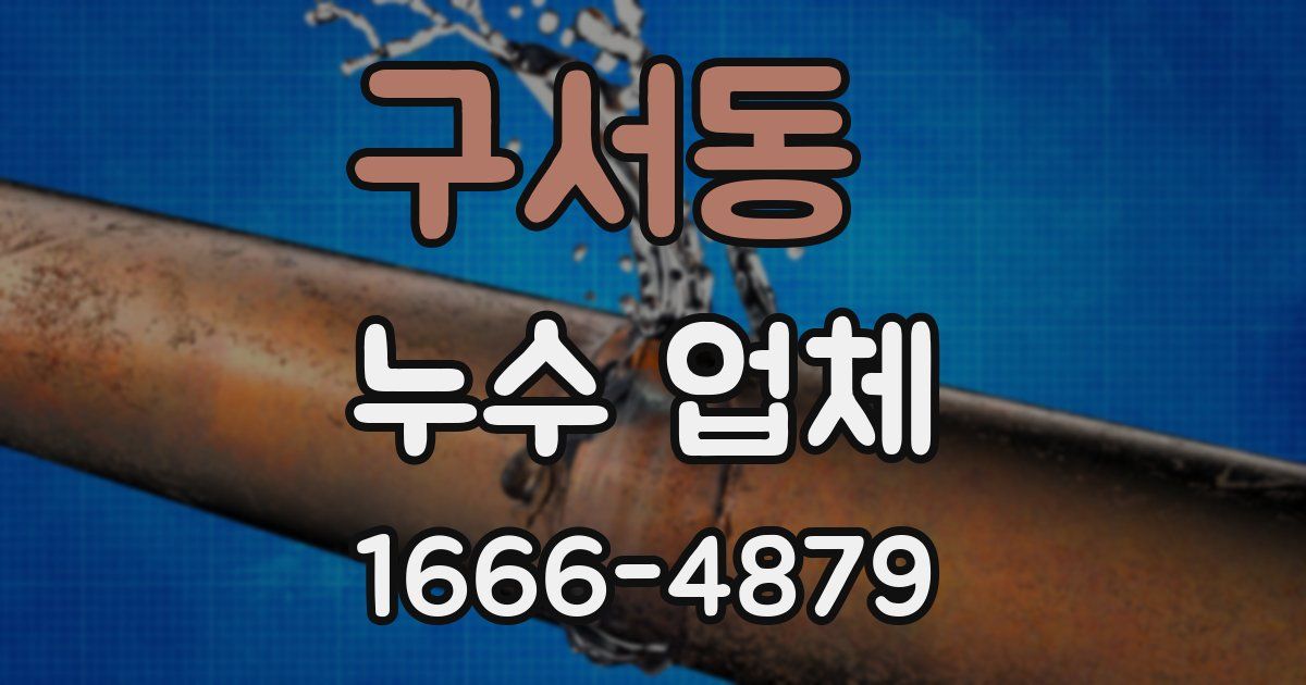 구서동 누수 업체