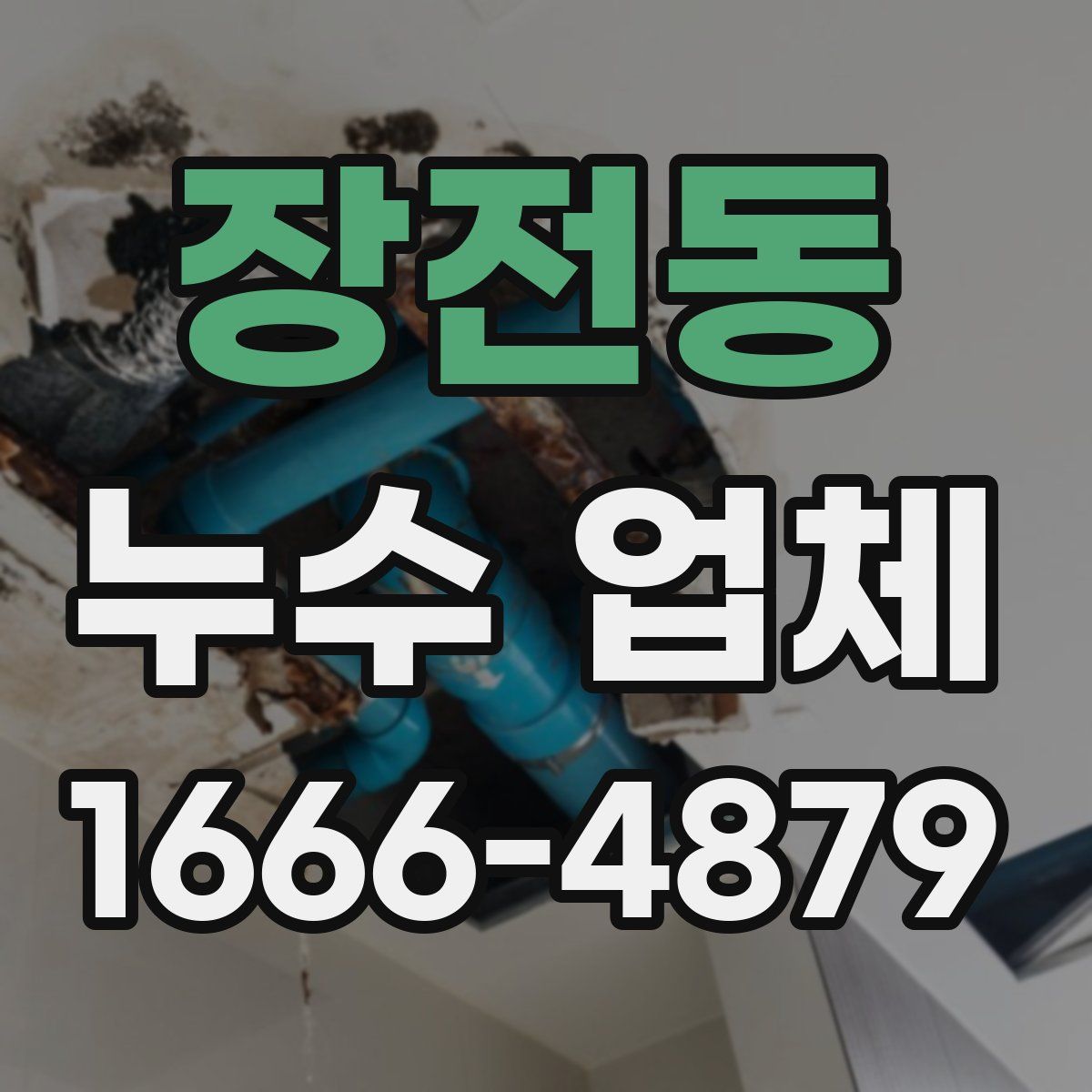 장전동 누수 업체