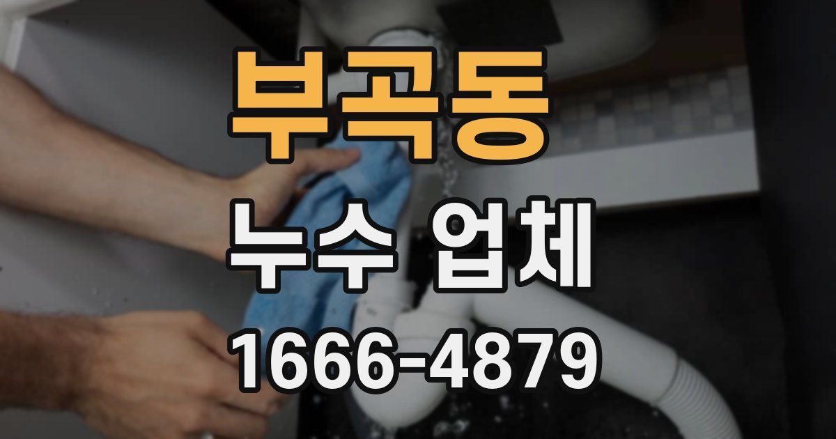 부곡동 누수 업체