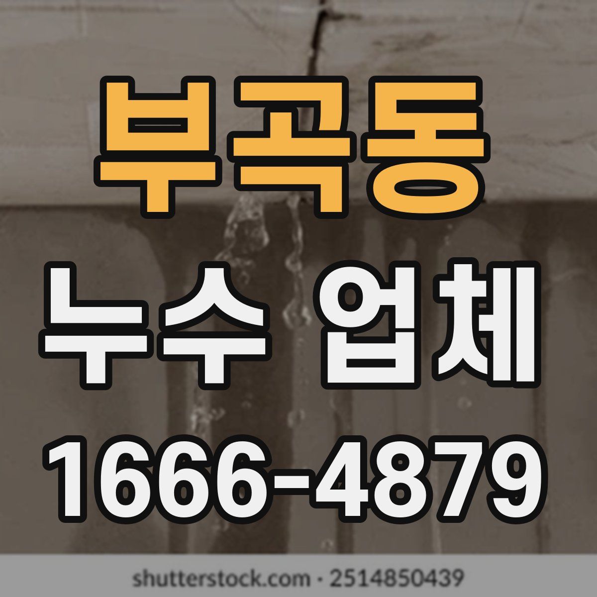 부곡동 누수 업체